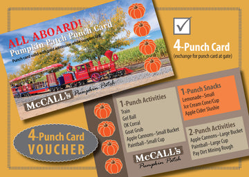 2025 Pumpkin Patch 4 punch card