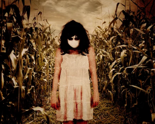 Haunted corn field - field of screams
