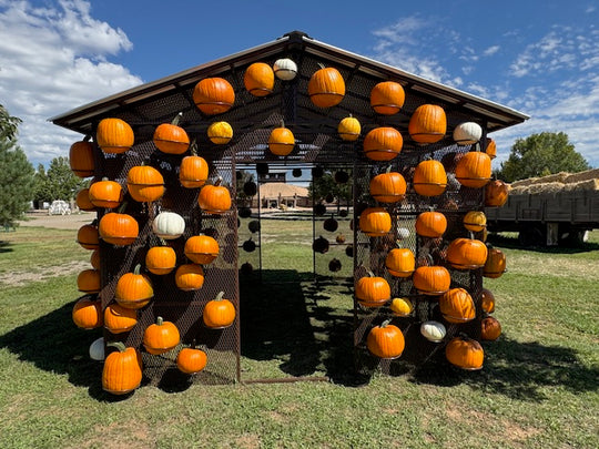 Pumpkin House